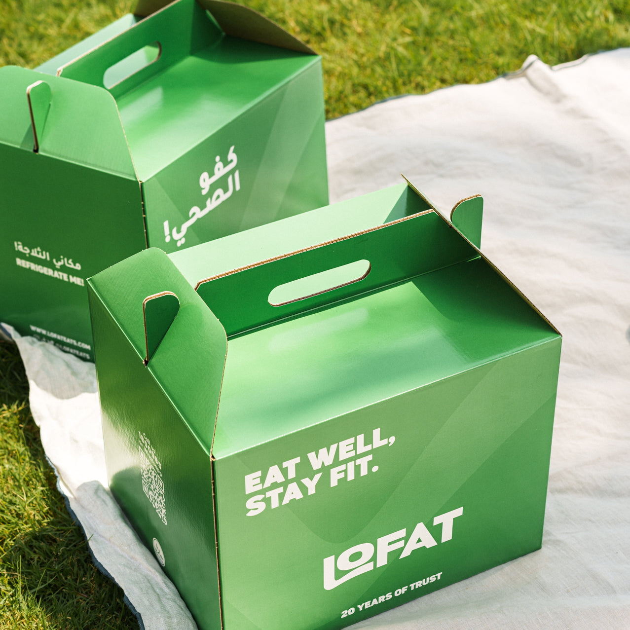 Lofat Daily Box